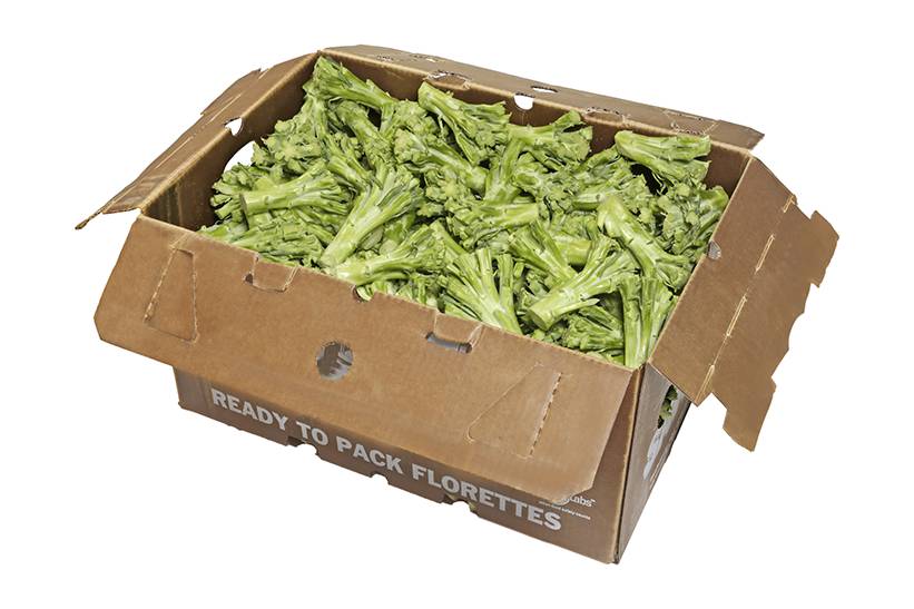 Broccoli – 40lb Stalks