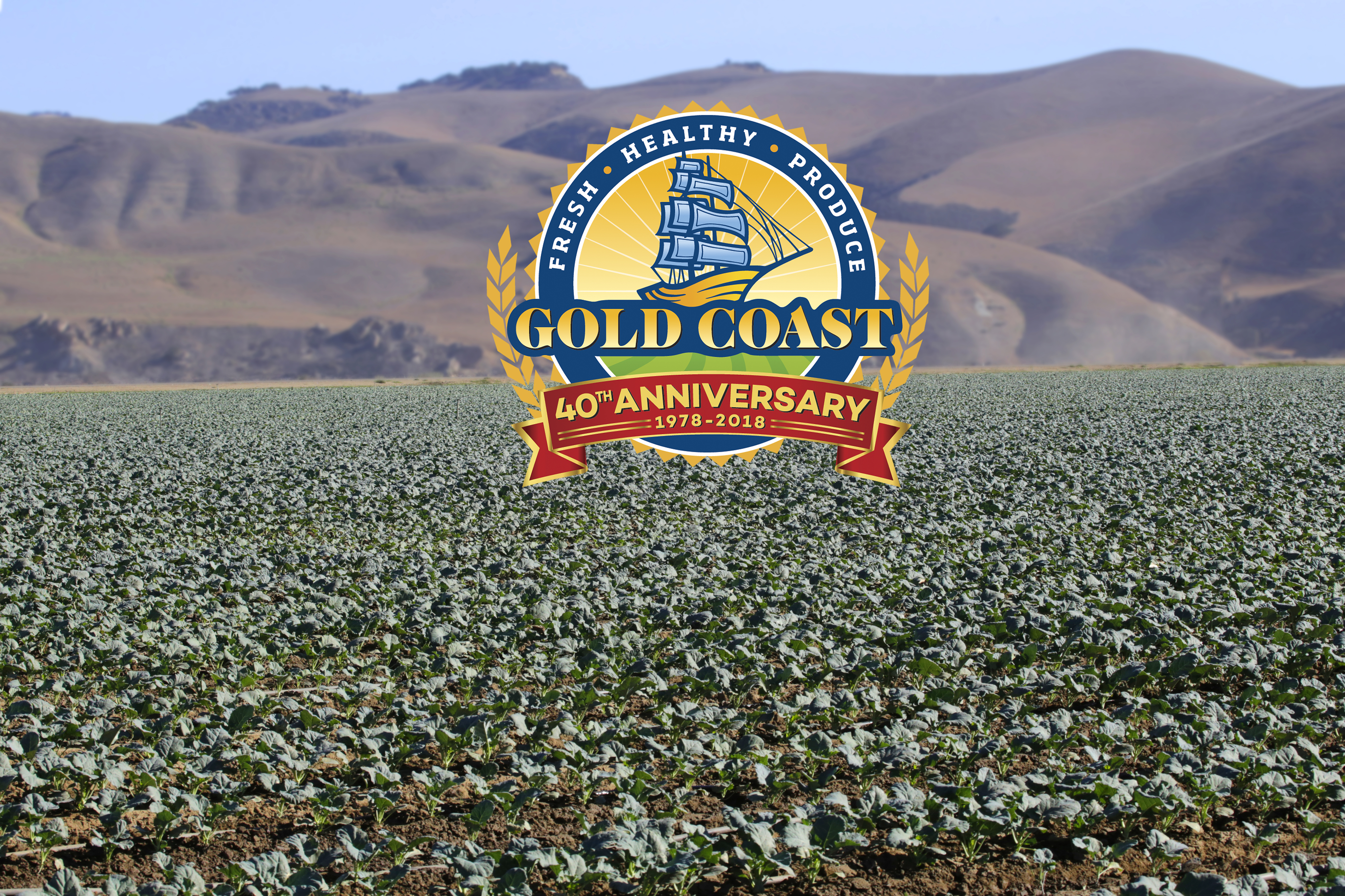 Gold Coast Packing Celebrates Its 40th Anniversary