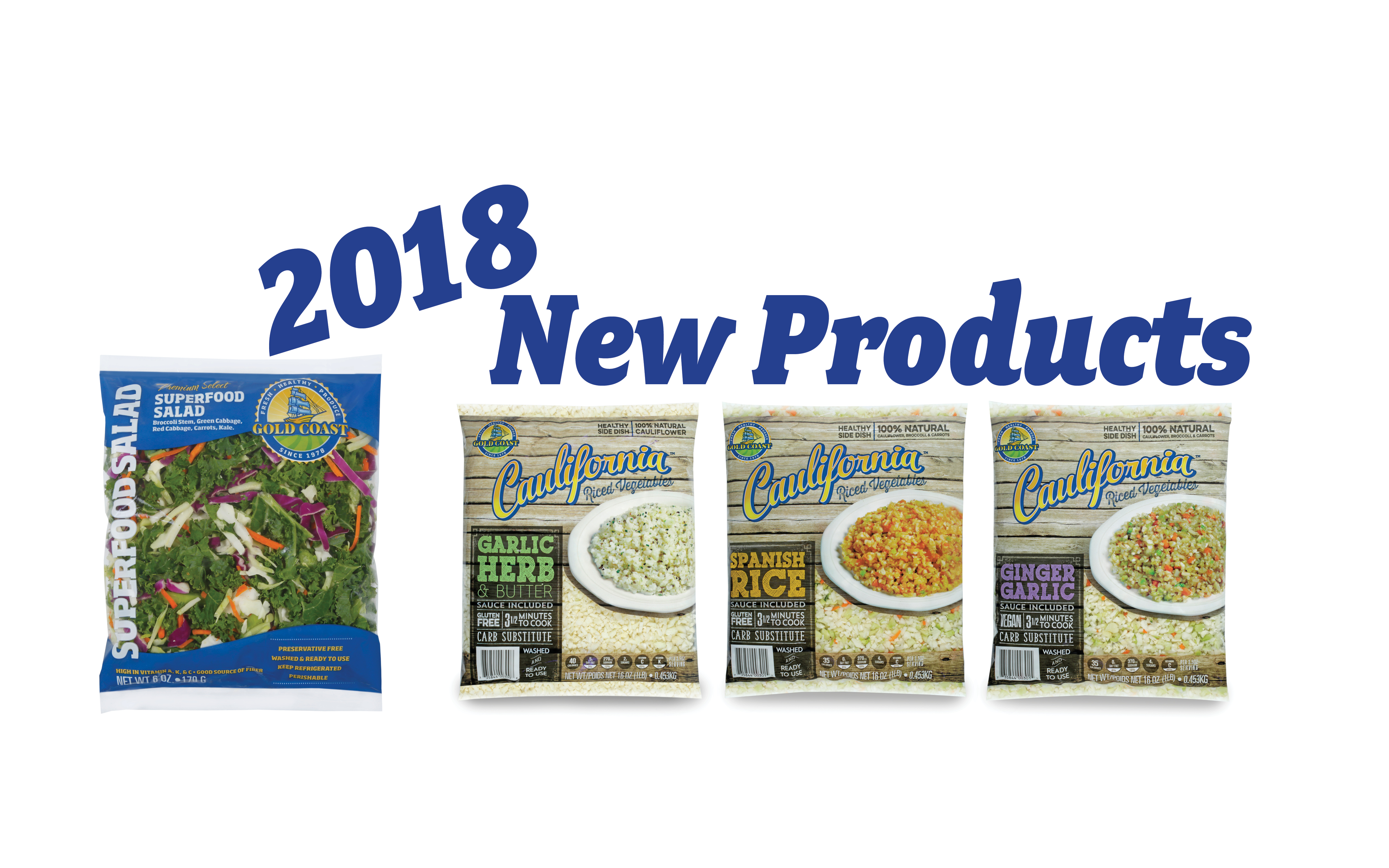 A Look Back at 2018: New Products